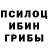 Псилоцибиновые грибы ЛСД Novak Andras