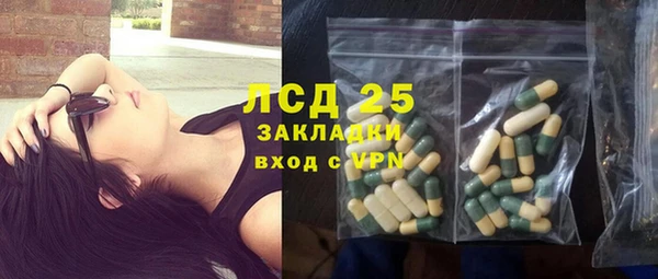 ECSTASY Алзамай