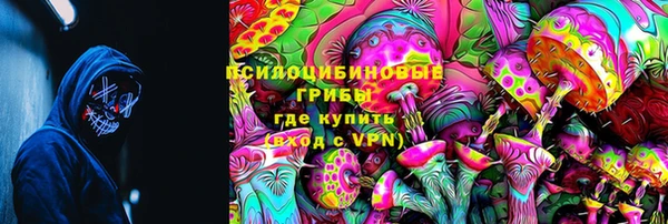 прущий лед Алексин