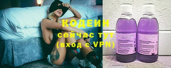 ECSTASY Алзамай