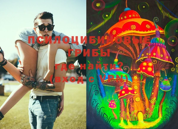 ECSTASY Алзамай