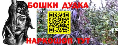стафф Заводоуковск