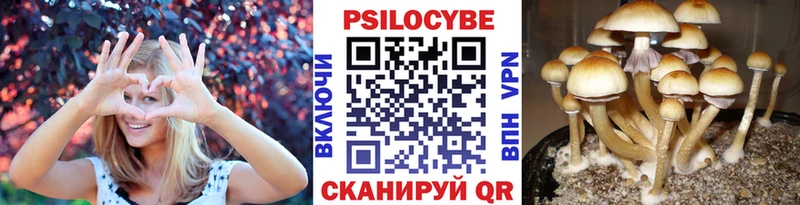 Псилоцибиновые грибы мухоморы  Моздок 
