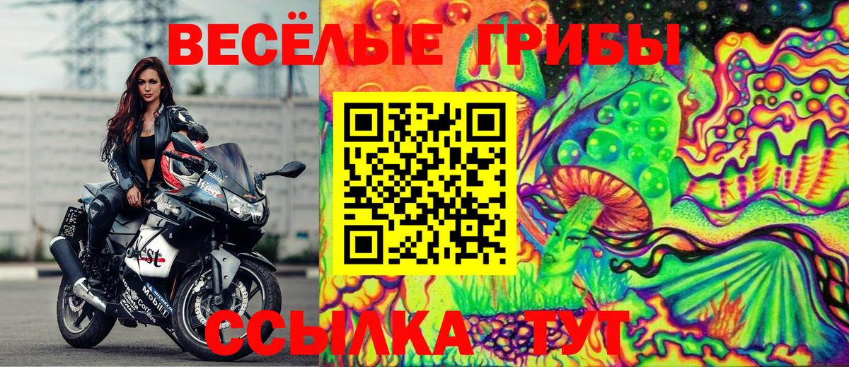 Псилоцибиновые грибы прущие грибы Моздок