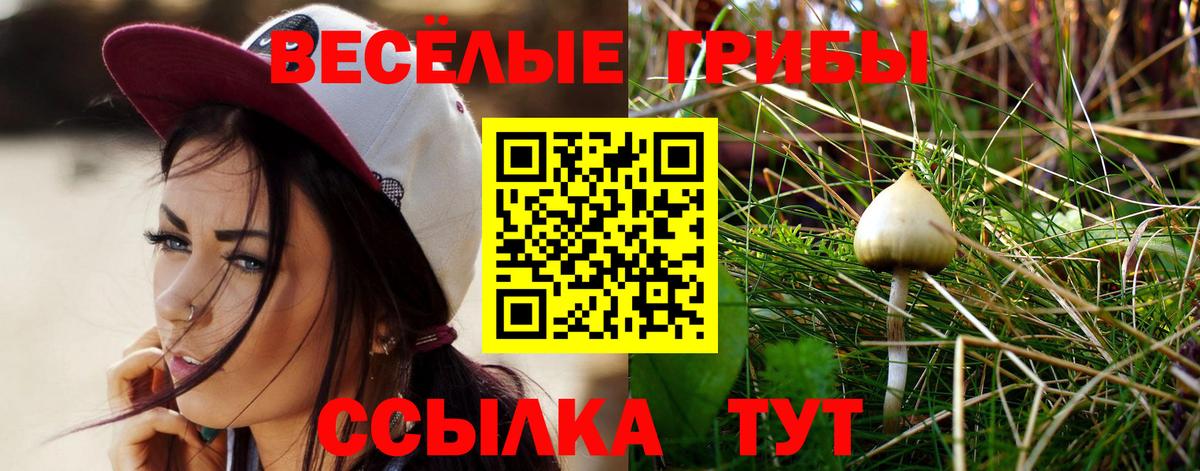 Моздок  Галлюциногенные грибы Cubensis  Вход с VPN  Галлюциногенные грибы GOLDEN TEACHER 